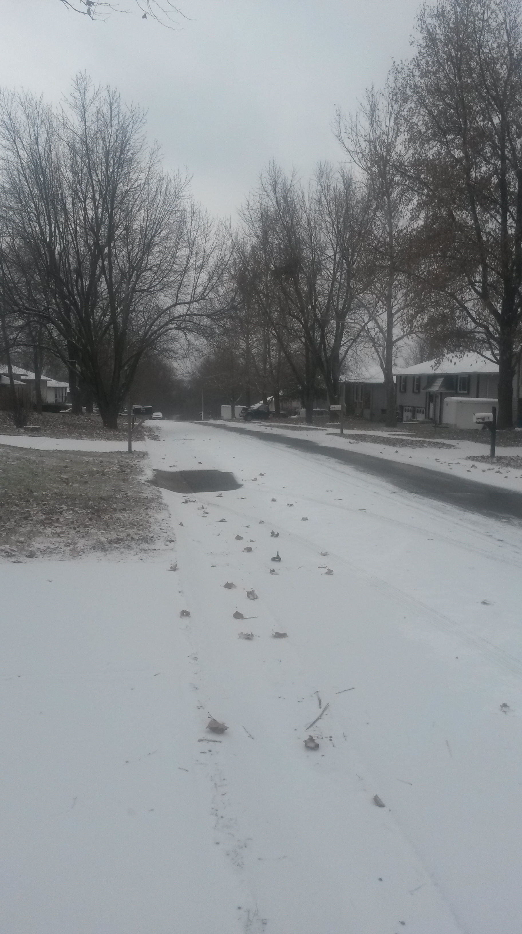 It snowed this weekend! Although, It was not heavy the thought of driving in snow makes me cringe. 